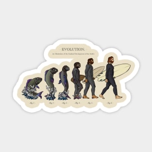 Evolution of Surfer Sticker